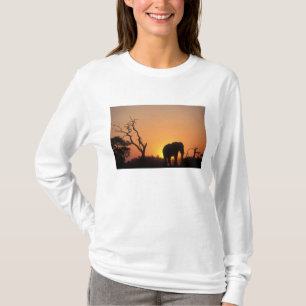 Camiseta África, Botsuana, Parque Nacional Chobe, Configura