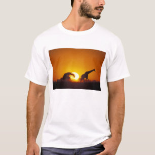 Camiseta África, Botsuana, Parque Nacional Chobe, Jirafa 2
