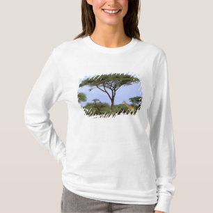Camiseta África, Botswana, Delta del Okavango. Sur