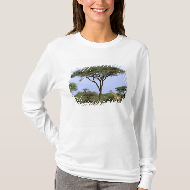 Camiseta África, Botswana, Delta del Okavango. Sur (Anverso)
