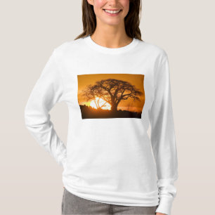 Camiseta África, Botswana, poniendo siluetas solares Baobab