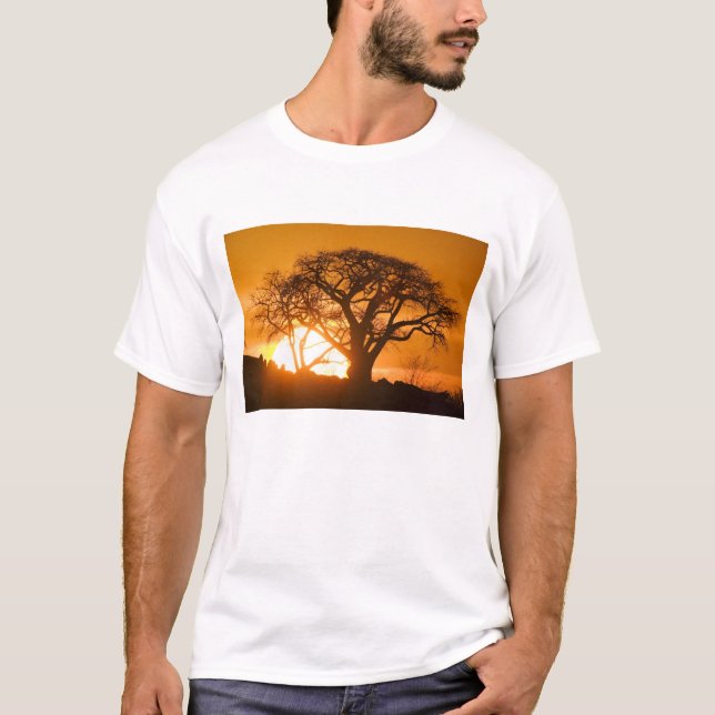Camiseta África, Botswana, poniendo siluetas solares Baobab (Anverso)