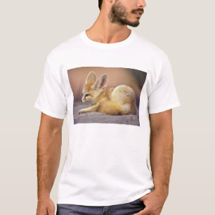 Camiseta África del Norte. Fennec Fennecus zerda)