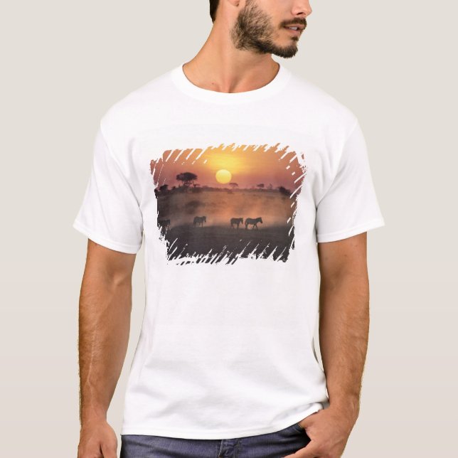 Camiseta África, Kenia, Amboseli NP. Camino de cebra a (Anverso)