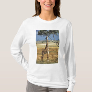 Camiseta África, Kenia, Amboseli NP. Una jirafa común, o Ma