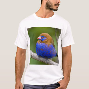 Camiseta África. Kenia. Granadero púrpura