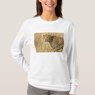 Camiseta África. Kenia. Guepardo en el PN Samburu.