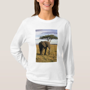 Camiseta África, Kenia, Maasai Mara. Un elefante en el