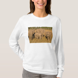 Camiseta África, Kenia, Masai Mara. Elefante Africano