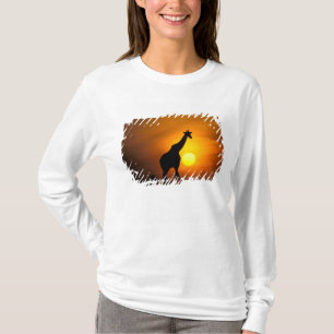 Camiseta África, Kenia, Masai Mara. Jirafa (Giraffa
