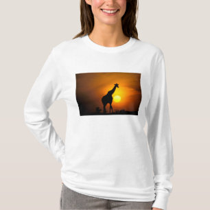 Camiseta África, Kenia, Masai Mara. Jirafa (Giraffa