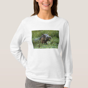 Camiseta África, Kenia, Masai Mara NR. Una madre hipopótamo
