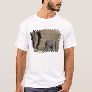 Camiseta África, Kenia, Parque Nacional Amboseli. Africano