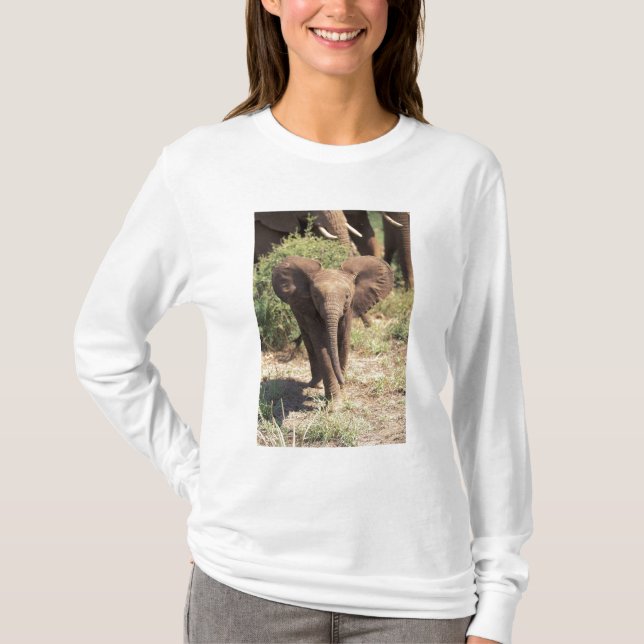 Camiseta África, Kenia, Parque Nacional Amboseli. Africano  (Anverso)