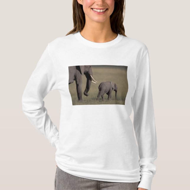 Camiseta África, Kenia, Parque Nacional Amboseli. Africano (Anverso)