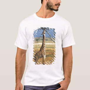 Camiseta África, Kenia, Parque Nacional Amboseli. Una jiraf