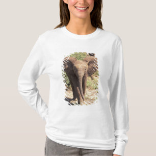 Camiseta África, Kenia, Parque Nacional de Amboseli. Africa
