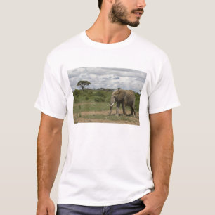 Camiseta África, Kenia, Parque Nacional de Amboseli, elefan