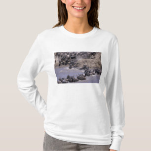 Camiseta África, Kenia, Parque Nacional Masai Mara.