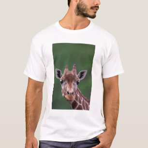 Camiseta África, Kenia, Rancho Impala. Reticulado