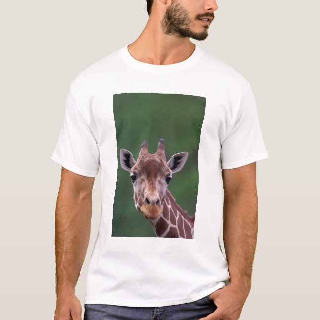 Camiseta África, Kenia, Rancho Impala. Reticulado (Anverso)