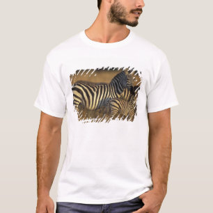 Camiseta África, Kenia, Reserva de caza Masai Mara. Llanura