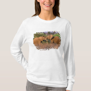 Camiseta África, Kenia, Samburu. Desafío de elefante