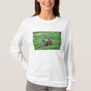 Camiseta África, Madagascar, Antananarivo, Tsimbazaza