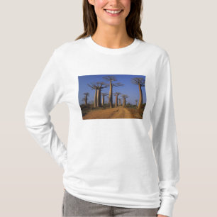 Camiseta África, Madagascar, Morondava, Avenida Baobab.