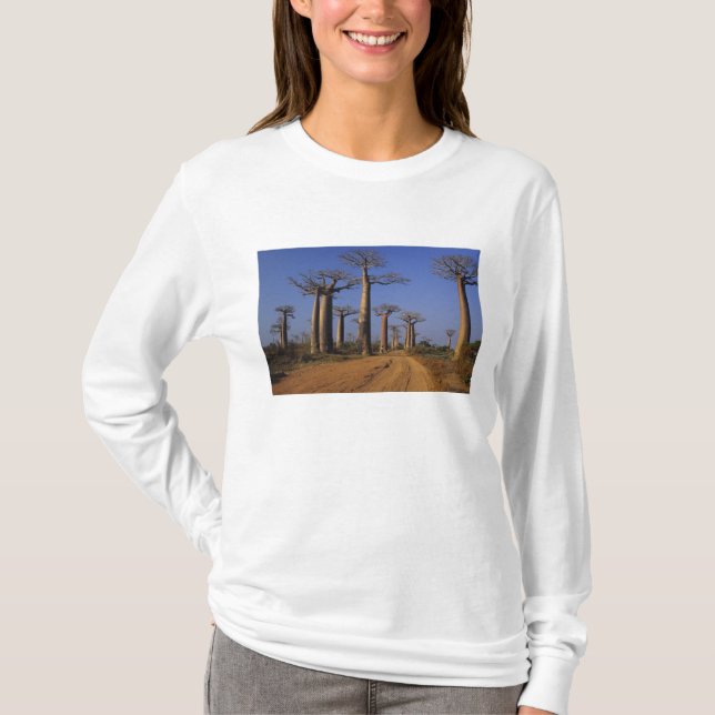Camiseta África, Madagascar, Morondava, Avenida Baobab. (Anverso)