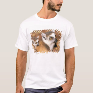 Camiseta África, Madagascar, Reserva Privada Berenty.