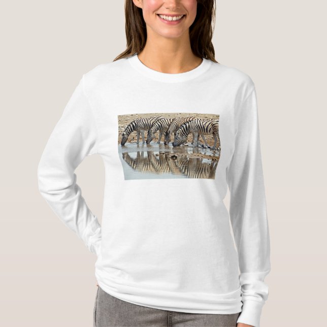 Camiseta África, Namibia, Etosha NP. Cebra de Burchell (Anverso)