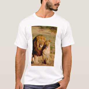 Camiseta África, Namibia, Okonjima. León y leona