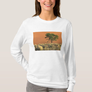 Camiseta África, Namibia, Parque Nacional Namib, Sossusvle