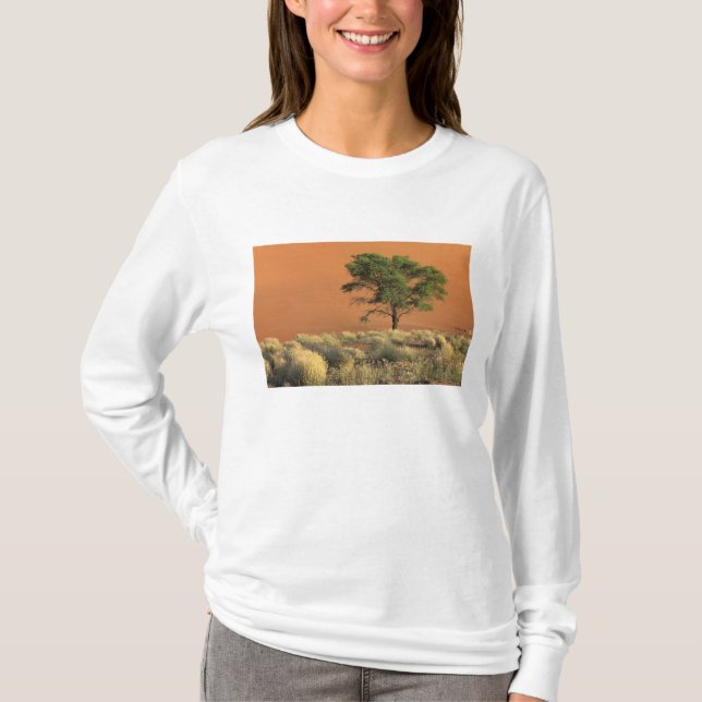 Camiseta África, Namibia, Parque Nacional Namib, Sossusvlei (Anverso)