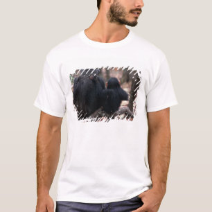 Camiseta África Oriental, Tanzania