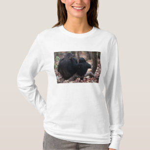 Camiseta África Oriental, Tanzania