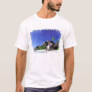 Camiseta África, Seychelles, Isla La Digue. Granito 3