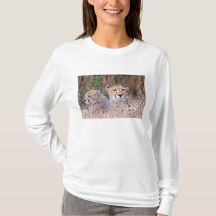 Camiseta África, Sudáfrica, Reserva Tswalu. Guepardos