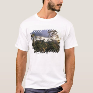 Camiseta África, Tanzania, Área de conservación de Ngorongo