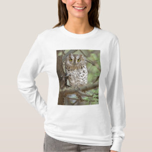 Camiseta África. Tanzania. Autillo africano en Tarangire 2