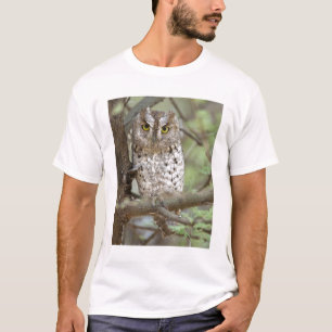 Camiseta África. Tanzania. Autillo africano en Tarangire 2