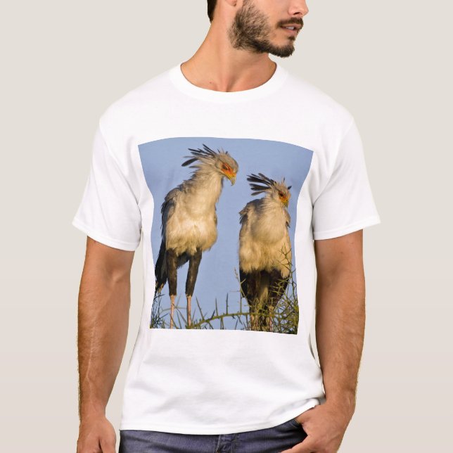 Camiseta África. Tanzania. Aves de la Secretaría en Ndutu (Anverso)
