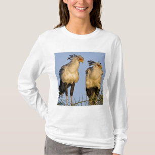 Camiseta África. Tanzania. Aves secretarias en Ndutu