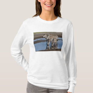 Camiseta África. Tanzania. Cebras bebiendo en Ndutu