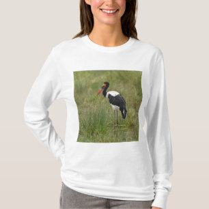 Camiseta África. Tanzania. Cigüeña Silla de Silla macho