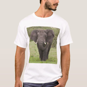 Camiseta África Tanzania Elefante en el cráter de Ngorongor
