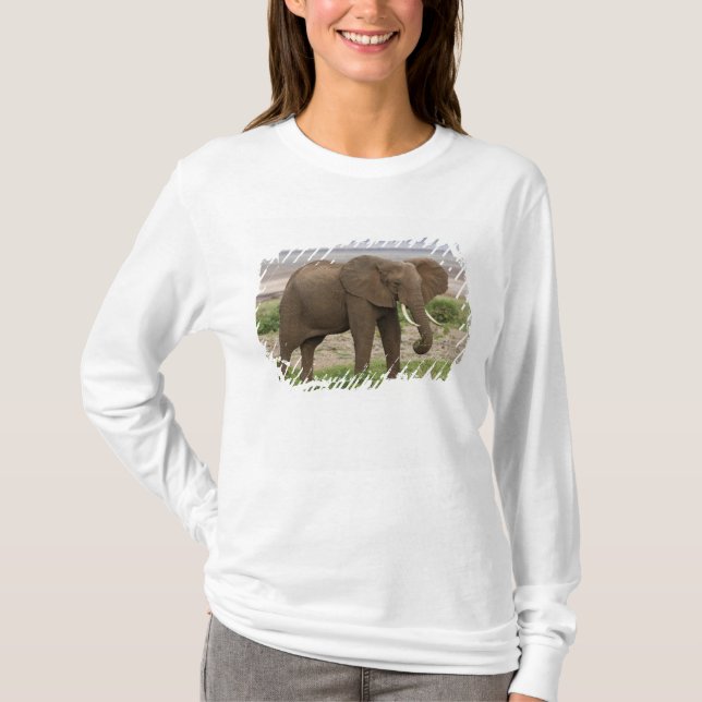 Camiseta África. Tanzania. Elefante en el lago Manyara NP. (Anverso)