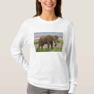 Camiseta África. Tanzania. Elefante en el lago Manyara NP.