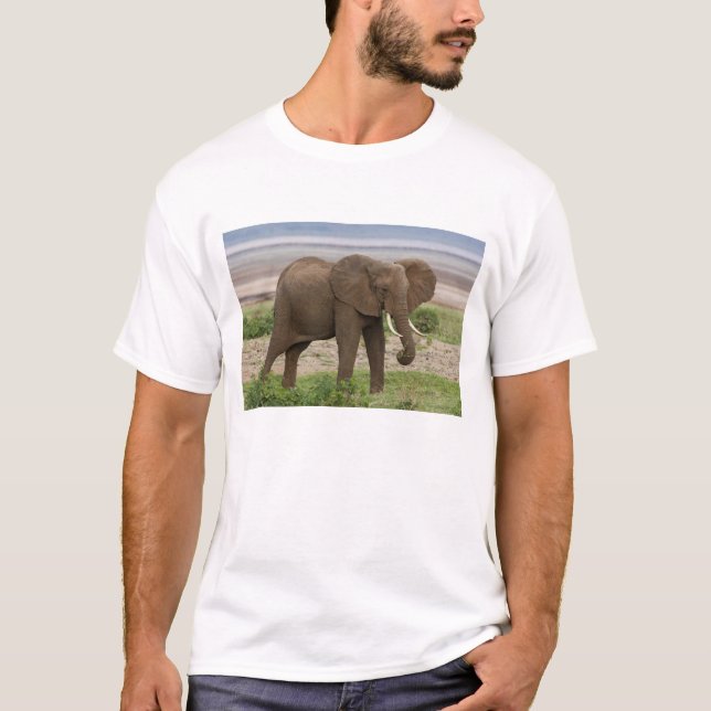 Camiseta África. Tanzania. Elefante en el lago Manyara NP. (Anverso)